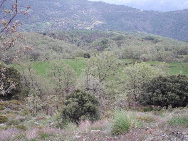 P5280083 Wandeling Trevelez  naar Portgos